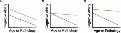 Cognitive Reserve and Related Constructs: A Unified Framework Across Cognitive and Brain Dimensions of Aging